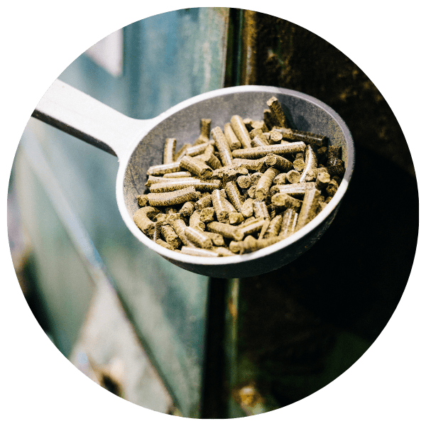 Alavuden Öljynpuristamo - Kylmäpuristettu rypsiöljy ja rypsipuriste rehukäyttöön